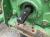 Трактор с/х John Deere 2650 series 2850 модификация сельскохозяйственный трактор средний класс гв 1986 – 1994 кабина 4х4 наработка 3140 мч зеленый