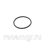 Кольцо уплотнительное патрубка охлаждающей жидкости Cummins ISX QSX 15 3680294 4059172