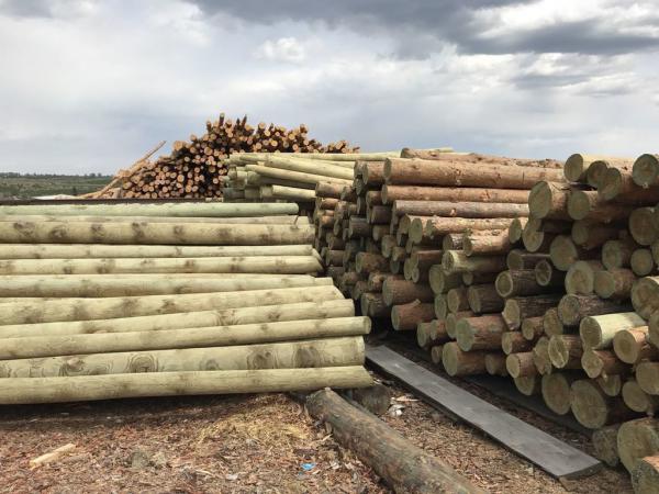 Опора деревянная 11м 180-200 пропитанная ГОСТ 9463-2014, 2708-75 купить ...