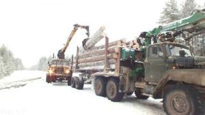 Услуги лесовоза с манипулятором 20 м3