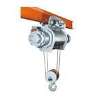 Таль электрическая канатная TOR HH-B20 2,0 т 6 м