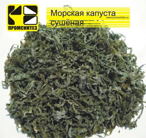Ламинария (морская капуста) сушеная, сублимированная купить по цене 850 ...