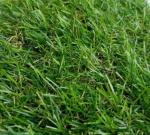 Искусственная трава арт 20 GRASS ТР