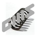 265.312-1 Пружина