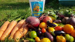 Смесь Миттлайдера 2