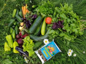 Смесь Миттлайдера 2