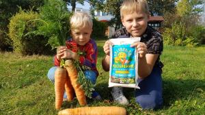 Смесь Миттлайдера 2