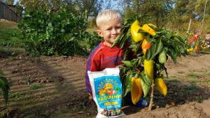 Смесь Миттлайдера 2