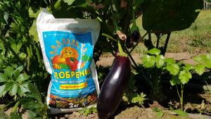 Смесь Миттлайдера 2