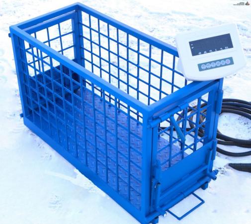 Весы для животных. Напольные весы для КРС ВП-С 1500 кг (1. 5 тонны ...