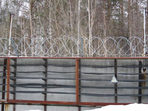 Егоза сбб 500 купить по цене 140 ₽ в Красноярске на PromPortal.Su (ID ...