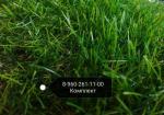 Искусственная трава арт 35 GRASS