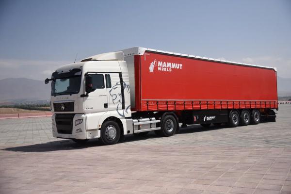 Mammut полуприцепы. Прицеп маммут. Полуприцеп маммут сн240-а шторный. Полуприцеп маммут сн240-а шторный. Полуприцеп маммут сн240-а шторный.