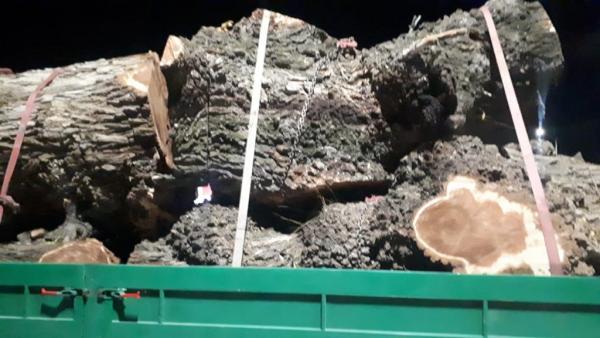 Доска карагача купить по цене 120000 ₽ в Санкт-Петербурге на PromPortal ...