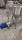 Диспергатор РПА-5-5(55А)
