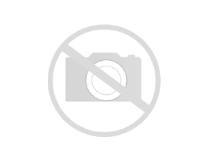 Моторное масло Mannol Molibden Benzin 10W-40 208 л