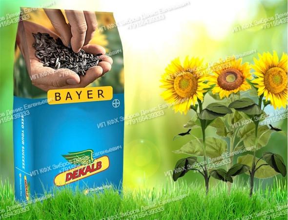 Гибрид подсолнечника ЕС БЕЛЛА Байер (Bayer) купить по цене 8000 ₽ в ...