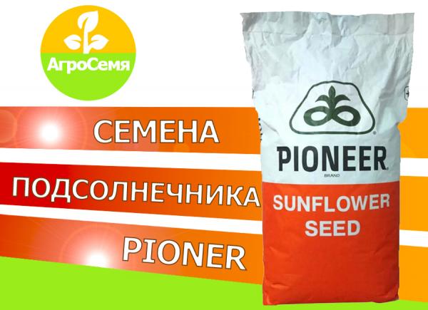 Семян подсолнечника Пионер пр64Х32 купить по цене 11000 ₽ в Воронеже на ...