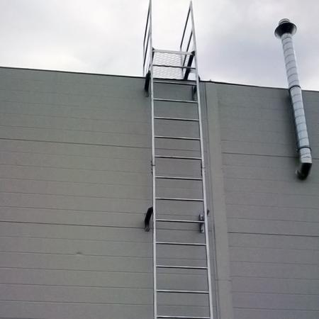 Лестница пожарная П-1. 1 профиль 50х50 Ст3 3900х850 мм купить в ...
