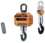 Крановые весы 1000 кг 1 THD Caston-III