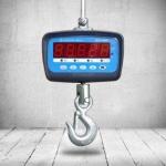 Весы крановые 300 кг ВСК-300А