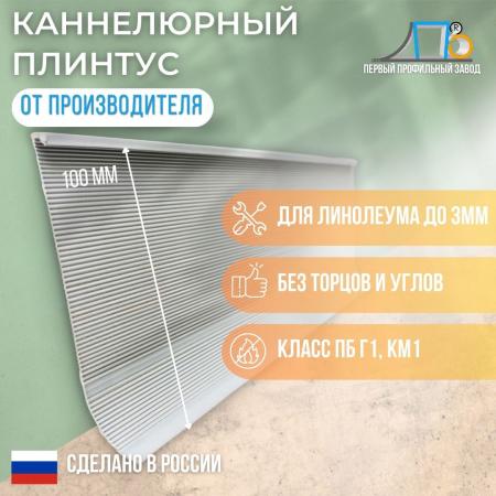 Плинтус для линолеума 10883 (81 метр) купить по цене 21991,50 ₽ в ...