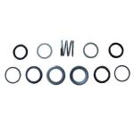 Сальник графитовый 1П10 в сборе