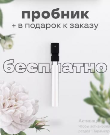 Спрей- мист Victoria's Secret Coconut Passion Noir, 250 ml купить по ...