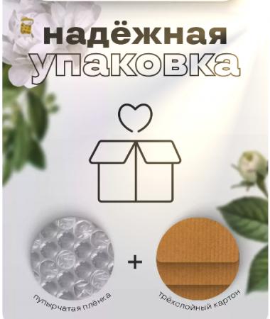 Atkinsons «Love in Idleness» 100ml туалетная вода купить по цене