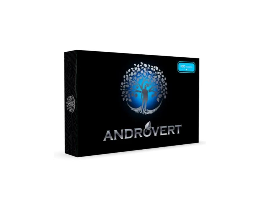 Androvert. Androvert