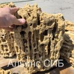 Меотис крымский ракушечник для ландшафта фр. 20-40 см