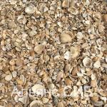 Ракушка для ландшафта микс