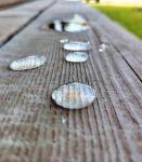 Гидрофобизатор АрмМикс концентрат 10 л.