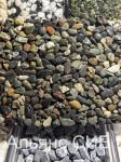Гравий речной для каменного ковра