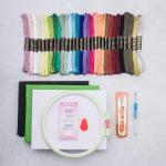 Набор для вышивания, мулине 30 цветов, канва, пяльцы, иглы, ножницы, вспарыватель, Bestex