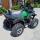 Квадроцикл на цепи Grizzly 250 «Зеленый»