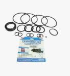 Ремкомплект гидроцилиндра ЦС-100 нового образца МТЗ, ЮМЗ (3008)