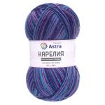 Пряжа Astra Premium 'Карелия' носочная (Karelia sock) 100г 400м (75% шерсть, 25% нейлон) 1008