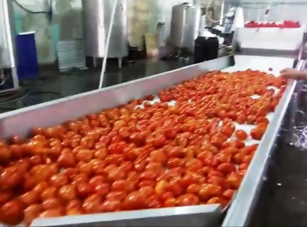 Линия консервирования огурцов и томатов, доставка из Москвы