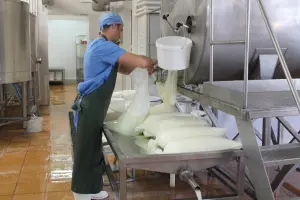 Купить лавсановые мешки, лавсановый мешок от производителя Ростексика