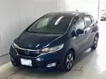 Fit Hybrid и Shuttle Hybrid Honda Автомобиль для водителя с ограниченными возможностями